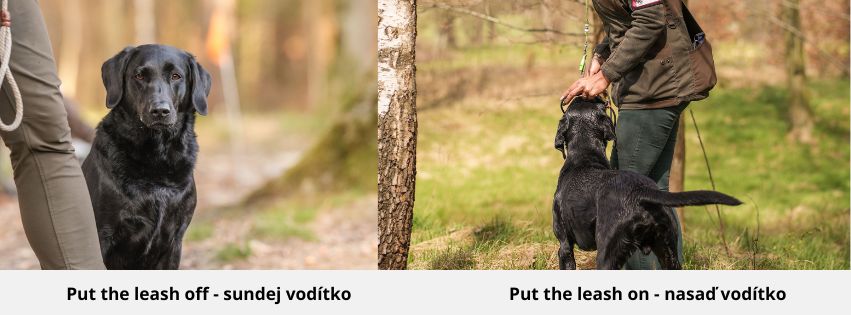 international field trial (6)